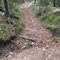 mt cassel 4wd track dome creek crossing