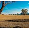 Sunburnt Country