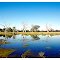 Marshlands