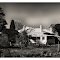 Old Roadside Shack