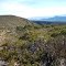 on the major mitchell plateau track