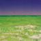 reef alive (Ningaloo)
