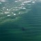 NORTH STRADBROKE WRECK
