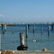 Pelican at Amity Point