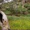 Onkaparinga River National Park