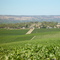 d''Arenburgh Winery McClaren Vale South  Australia