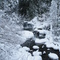 Austin Creek