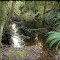 Stimpson Family Nature Reserve: Kiddies Pool