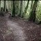 Stimpson Family Nature Reserve