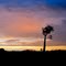 Sunset - Myella Farm