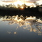 Neville Hewitt Weir at Sunset