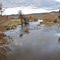 From the Hinnomunjie Bridge over the Mitta Mitta/Omeo Valley