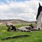 Fire sculpture on Kelly's road, Omeo Valley