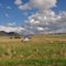 The next Benambra Cattle Sale is ???