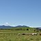 Near Benambra, Omeo Valley