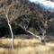 Near The Gorge