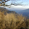 Dimmicks Lookout, Victorian High Country