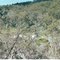 Alpine N.P.; Holmes Plain camp ground