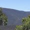 Dingo Hill in the distance