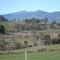 Mt Buller - end of winter 2006