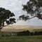 Soft morning light across the valley