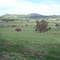 Delatite River Valley, Piries, Mansfield, VIC, Australia