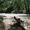 Howqua River near Howqua, Vic