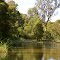 It's the paradise for kangaroos and wombat and various species of birds