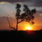 Sunset at West Angelas