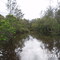 Sandon River