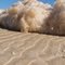 Dirty foam on the beach, Shelley Beach