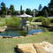 Blackwater - Japanese Garden
