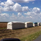 Cotton fields along road 66
