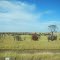 Australia's Outback