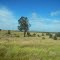 Australia's Outback