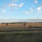 Farmland near Blackwater