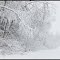 Cross-Country skiing, Centennial Trail