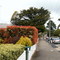 Katoomba, Australia