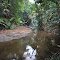 Monkhouse Timber Reserve