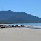 Cape Tribulation