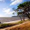 Cape Tribulation