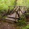 Trail of the Deer footbridge [Lewis & Clark SP]