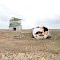 Abandoned cattle property - Heathlands Resources Reserve