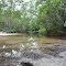 Dulhunty River crossing