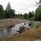 South Fork Chehalis at Boistfort, summer after the 2007 flood