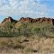 Range near Camballin, east of Fitzroy Crossing, West Australia