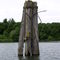 Bird nesting boxes on piling, Government Cove