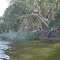 Fresh water lake near Orchid Beach
