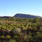 Tom Price, WA