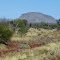 First view of Mt Bruce....coming in to Tom Price, WA